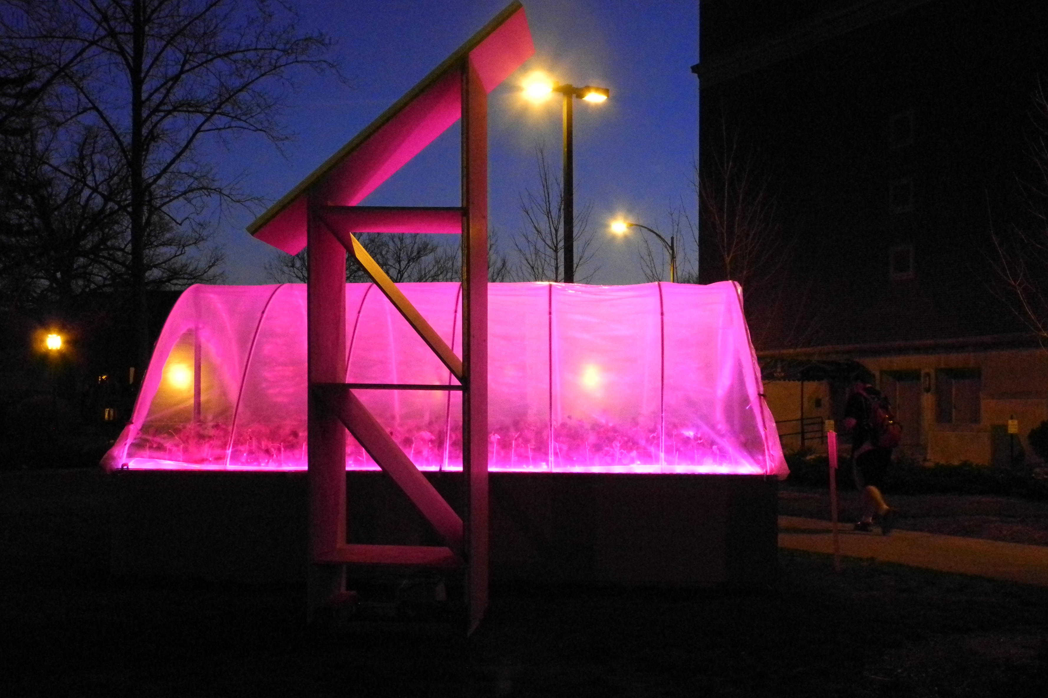 DSCN4523.jpg